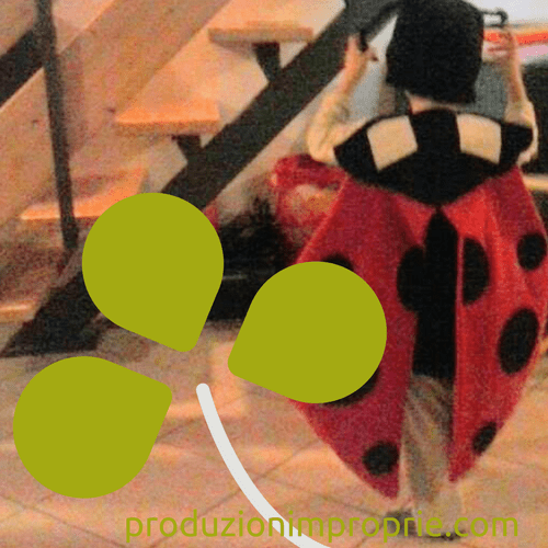 costume carnevale coccinella