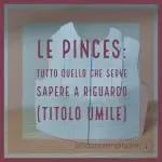 Le pinces: tutto quello che serve sapere a riguardo (titolo umile)