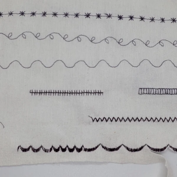 Tabella dei punti della macchina da cucire: guida impropria ai punti elastici e di cucitura vari punti decorativi con la macchina da cucire